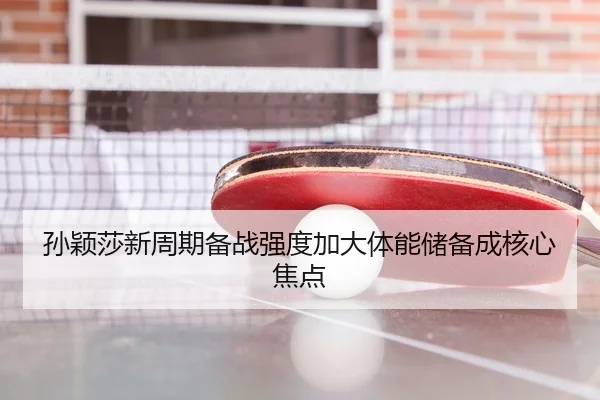 孙颖莎新周期备战强度加大体能储备成核心焦点